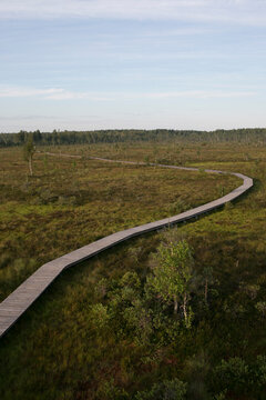 Wooden boardwalk trail winding through natural peat bog landscape in Aukstumala Lithuania