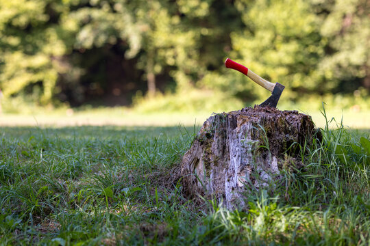 An axe stuck in a wooden chopping block at sunset. Manly chores; a lumberjack's tool in sunrise