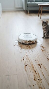 Robot Vacuum Cleaner Mess Cat Watching