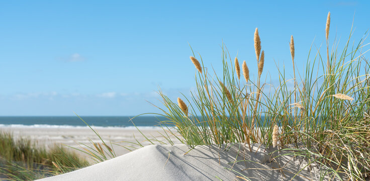 Weite D&uuml;nenlandschaft an der Nordsee