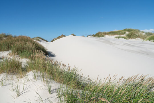 Hohe D&uuml;nen an der Nordseek&uuml;ste