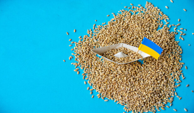 Ukrainian Grain Export Blockade and Food Crisis Concept with Paper Boat and Flag on Wheat Seeds Background