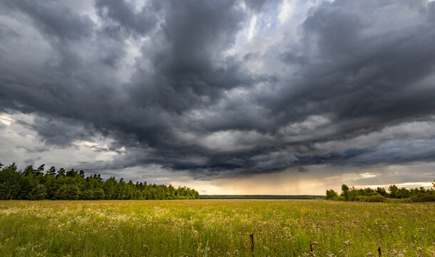 Dark clouds loom over a sunlit field