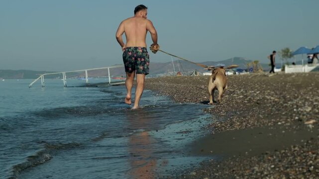 A slow motion video of an eight year old female one eyed pitbull running together with her athletic forty year old male owner on a sunny morning sandy beach.
