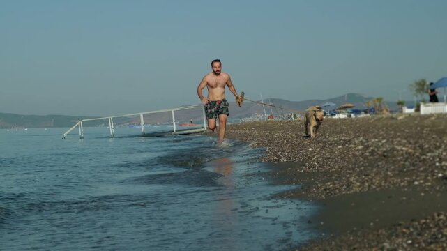 A slow motion video of an eight year old female one eyed pitbull running together with her athletic forty year old male owner on a sunny morning sandy beach.