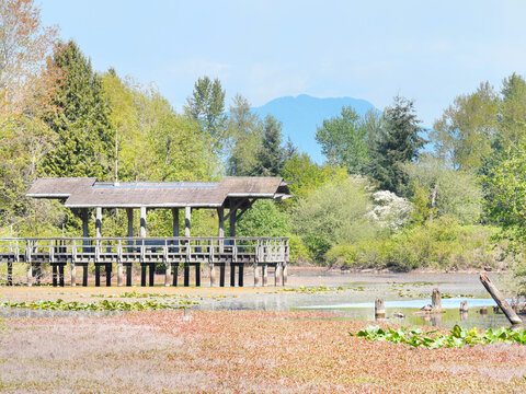 Fishtrap Creek Park during a spring season in Abbotsford, British Columbia, Canada