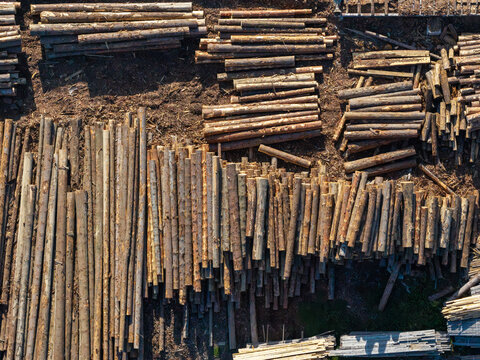 Wood logs stockpiled in large timber storage yard from aerial view