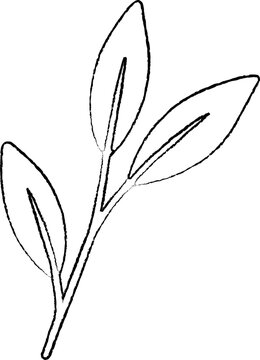 A simple hand-drawn black outline botanical branch with three leaves in a clean minimalist style