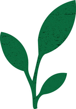 A simple green botanical branch with three leaves featuring a distressed vintage texture in a minimalist nature-inspired design.