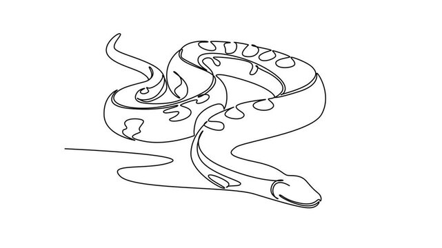 Animated self drawing of continuous line draw a wild snake animal slithering gracefully, tropical jungle reptile biodiversity, exotic fauna, and serpent nature beauty. Full length one line animation