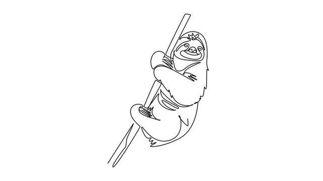 Animated self drawing of continuous line draw happy sloth hanging lazily from a tree branch. Claws, smiling face, and relaxed posture in tropical rainforest wildlife. Full length single line animation
