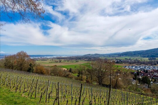 N&ouml;rdlich von Bohlingen erhebt sich der Galgenberg Rebfl&auml;chen &uuml;ber das Achtal. Am &ouml;stlichen Horizont Bodensee, Untersee, Radolfzell, Moos und Isnang, Inseln Reichenau und Voralberger Alpen
