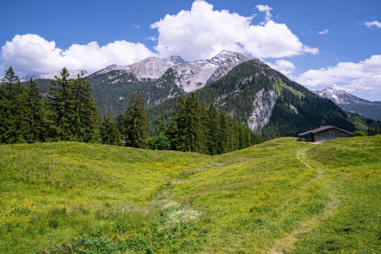 Gewellte Almwiese mit kleinem Wanderpfad und Almh&uuml;tte vor der Kulisse der Berchtesgadener Alpen.