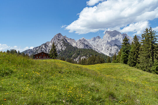 H&uuml;gelige Almwiese mit bl&uuml;henden Wildblumen und historischer Holz-Blockh&uuml;tte vor m&auml;chtiger Bergkulisse.