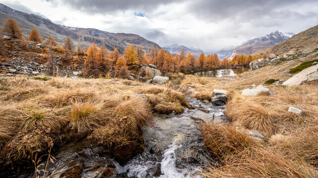 Autumn landscape above Zermatt with the Grindjisee surrounded by golden larch trees and first snow covering the higher mountain slopes in the Swiss Alps.