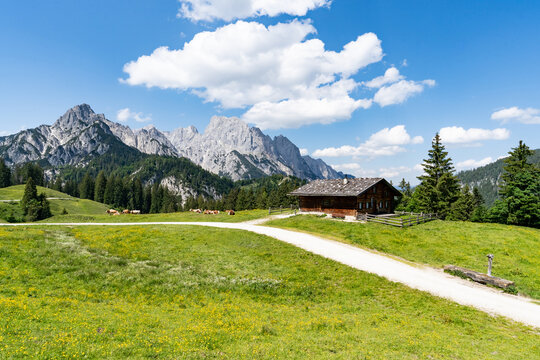 Schotterweg zur Almh&uuml;tte auf der Litzlalm vor der Kulisse der Berchtesgadener Alpen.