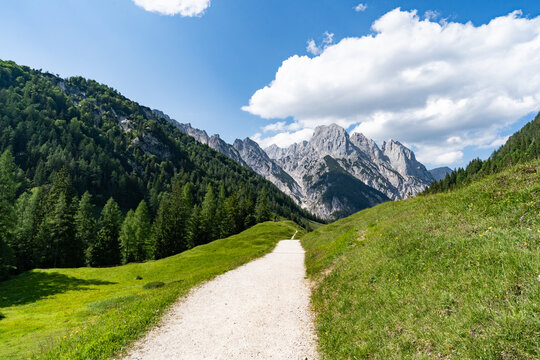 Heller Schotterweg f&uuml;hrt &uuml;ber die Litzlalm in Richtung der Loferer Steinberge.