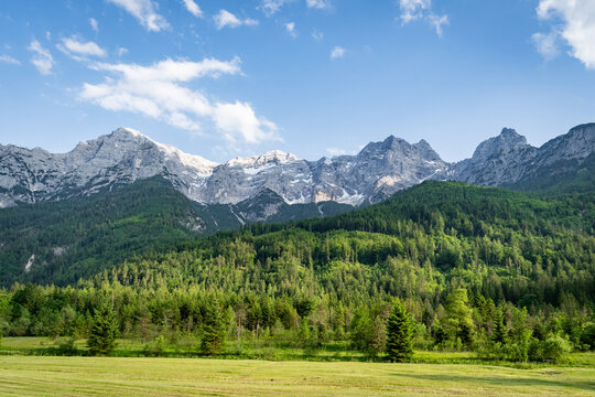 Gr&uuml;ne Talwiese vor bewaldeten Bergh&auml;ngen und den Felsgipfeln der Reiteralpe im Klausbachtal.