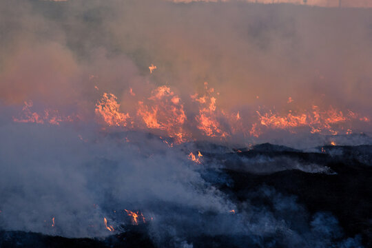 Flames shrouded in smoke during grass fire