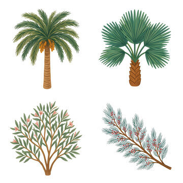 Illustrated tropical plants and foliage on transparent background
