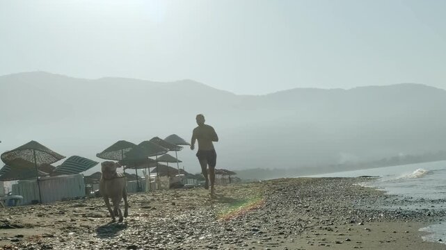 A video of an eight year old female one eyed pitbull running together with her athletic forty year old male owner along a sandy beach in warm morning sunlight.