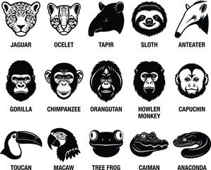 Fototapeta premium Rainforest Wildlife Animal Vector Head Silhouettes Set with Names for Educational and Graphic Design 