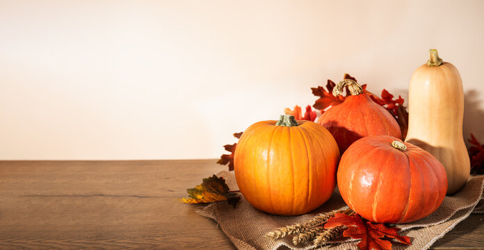 Assorted pumpkins and butternut squash on burlap with fall leaves and wheat over wooden table. Autumn harvest background with copy space on left for Thanksgiving and seasonal promotions.