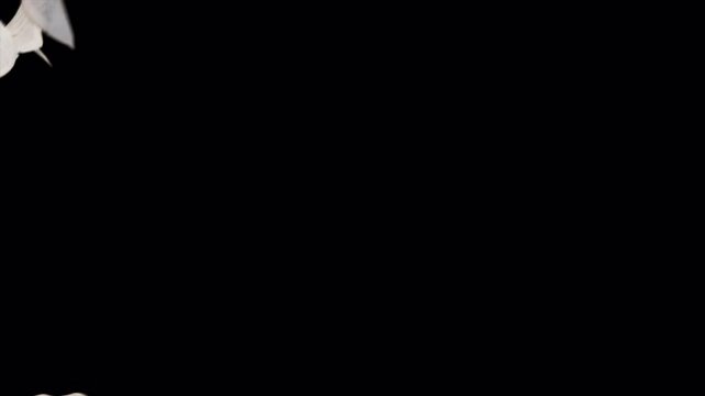 Floating white papers scattering across a dark black background.