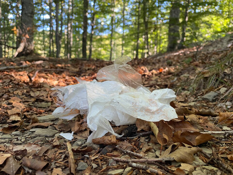 Litter left by visitors on forest floor