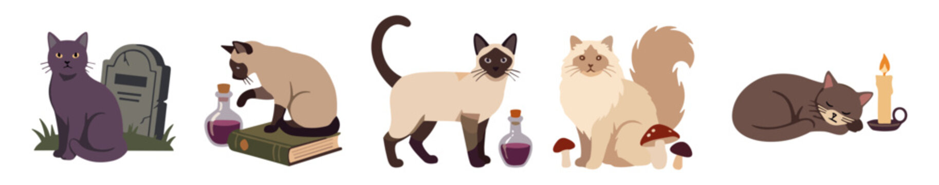 Halloween mystical cats vector set, black cat by gravestone, siamese cat with potion book, fluffy cat with mushrooms and sleeping kitten with candle on transparent background