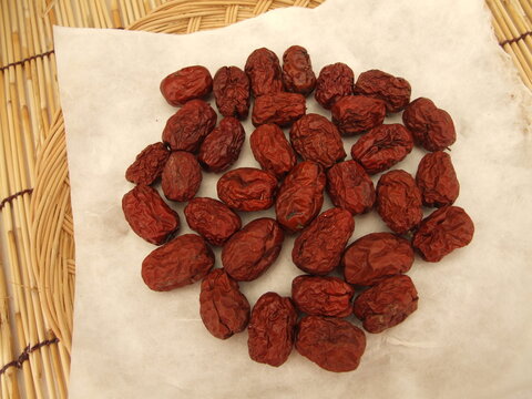 Ziziphus jujuba Korean jujube is a deciduous shrub 8-15m tall from KR