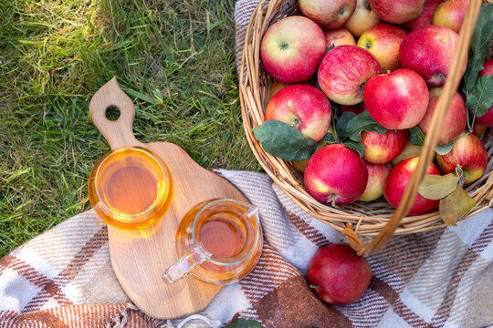Autumn picnic with fresh apples and apple cider on grass