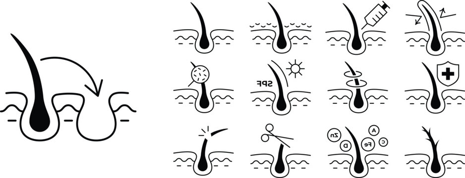 Hair follicle health treatment, dermatology and scalp care symbols.