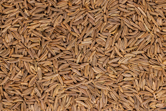 Caraway seeds forming a textured natural spice background