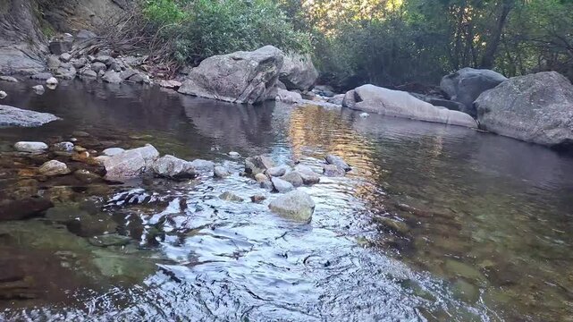 Clear mountain river stream flowing over rocks in lush forest, Saint Vincent river, Vernet-les-Bains, Pyrenees-Orientales, France