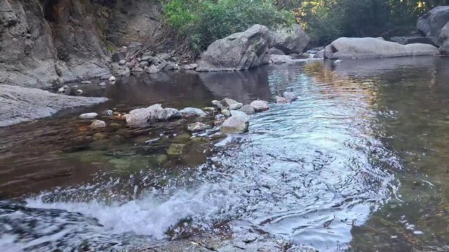 Clear mountain river stream flowing over rocks in lush forest, Saint Vincent river, Vernet-les-Bains, Pyrenees-Orientales, France