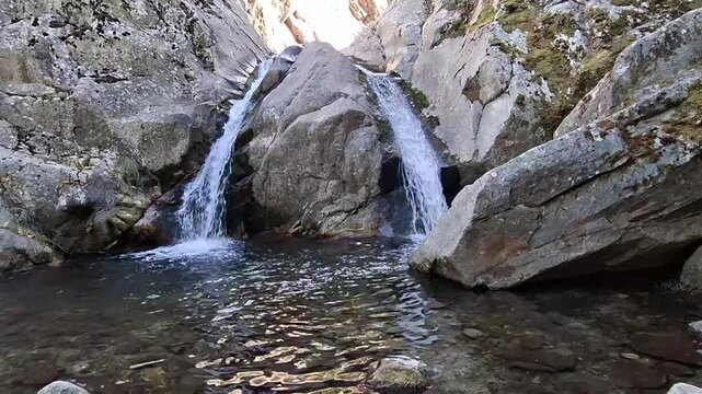 Clear mountain river stream flowing over rocks in lush forest, Saint Vincent river, Vernet-les-Bains, Pyrenees-Orientales, France