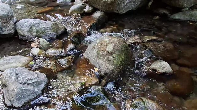 Clear mountain river stream flowing over rocks in lush forest, Saint Vincent river, Vernet-les-Bains, Pyrenees-Orientales, France