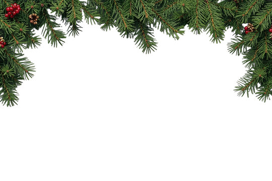 Green evergreen corner border studio cutout