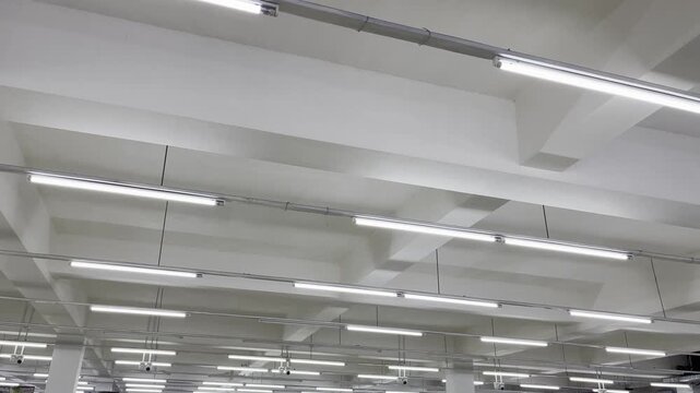 Modern industrial linear led ceiling lights in contemporary concrete office interior