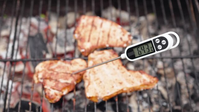 Digital meat thermometer measures internal grill temperature rise on seasoned chicken breasts over hot charcoal coals. Accurate culinary gauge ensures safe cooking on outdoor barbecue grill.