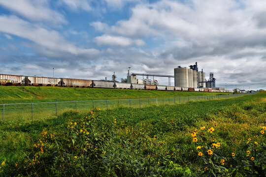 A dry mill complex processes corn into fuel ethanol, high-fructose corn syrup, corn sweeteners, starches, and animal feed co-products.