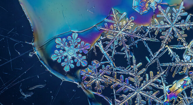 Macro close-up of intricate colorful snowflakes and ice crystal patterns under polarized light, digital art