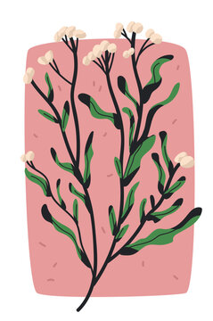 Botanical journal sticker elements floral branch illustration for scrapbooking and journaling hand drawn plant with green leaves on pink background