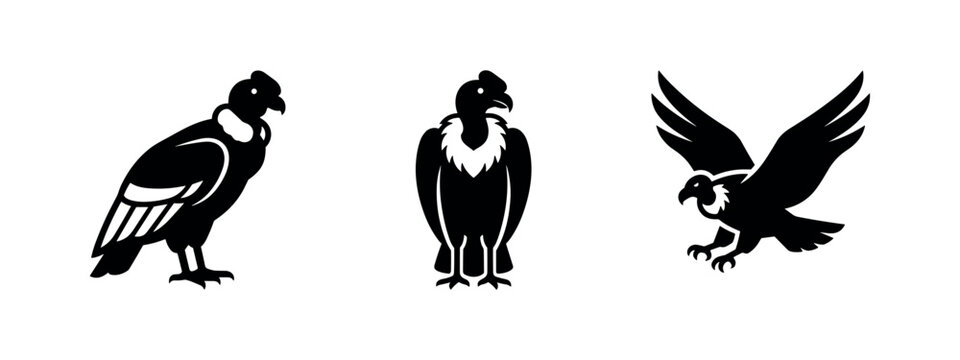 Set of stylized condor and vulture bird icons in different poses, representing majestic wildlife.