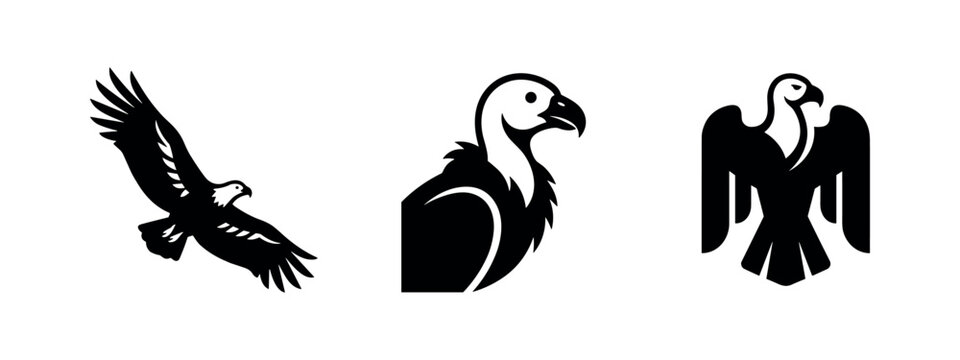 Collection of stylized condor and vulture icons, including a flying bird and emblem design.