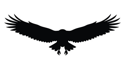 Obraz premium Eagle silhouette with wings spread a stark black shape on white