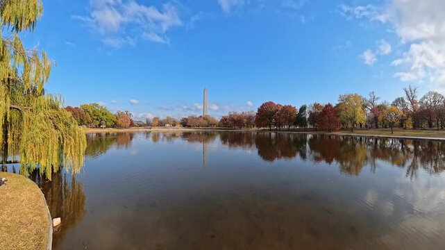 Washington Monument reflects in a pond surrounded by autumn foliage in 4K video.