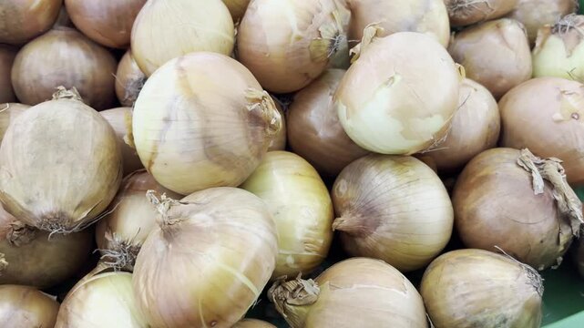 Fresh Raw Yellow Onions Pile at Local Market Fresh Agriculture Vegetables