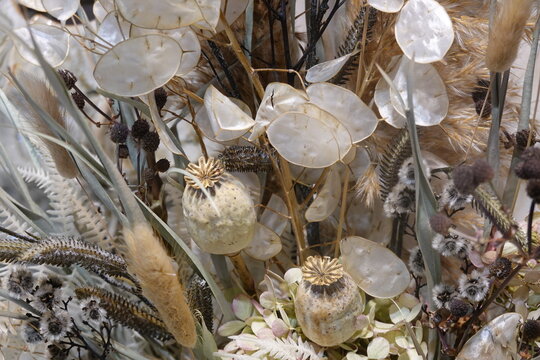 herbstliches Trockenblumengesteck mit mohnkapseln und Silberdollars - autumnal dry flower arrangement with money plants
